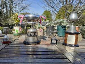 Trophies in our back garden (2022) Trophies in our back garden (2022)